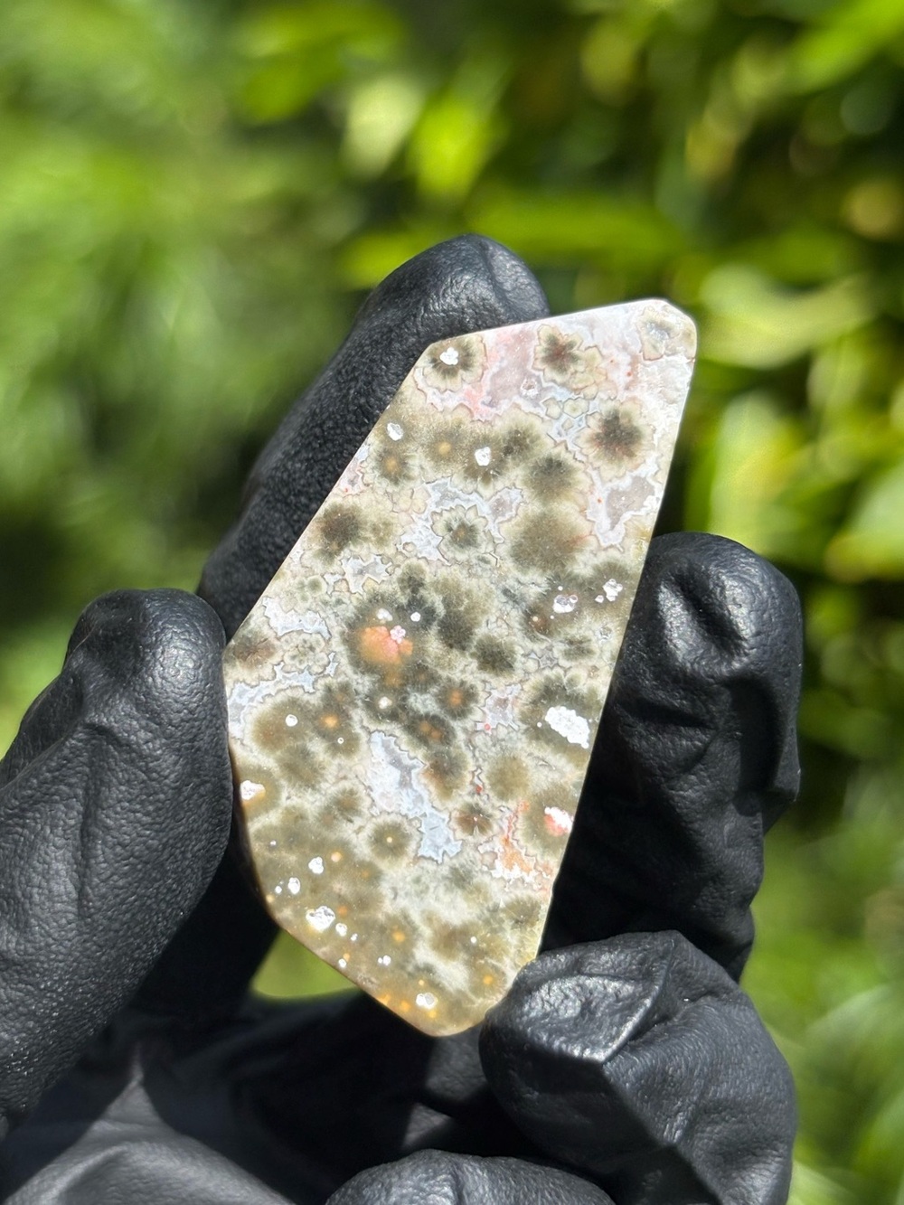 Small Ocean Jasper Slab with Druzy - Sea Jasper - Polished Orbicular Jasper
